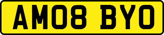 AM08BYO