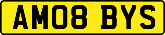 AM08BYS