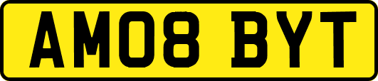 AM08BYT