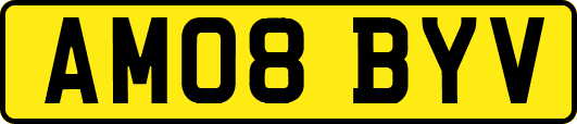 AM08BYV