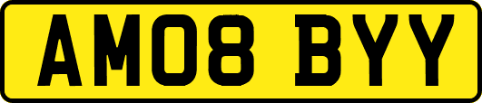 AM08BYY