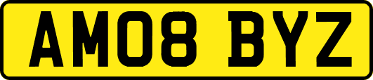 AM08BYZ