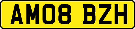 AM08BZH