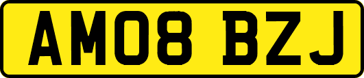 AM08BZJ