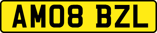 AM08BZL