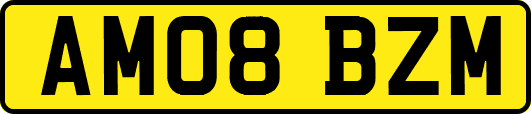 AM08BZM