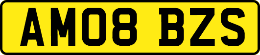 AM08BZS