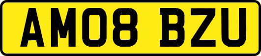 AM08BZU