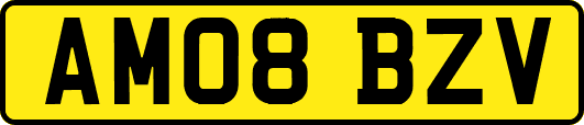 AM08BZV