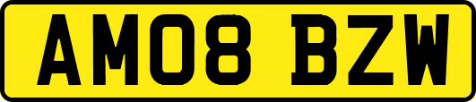 AM08BZW