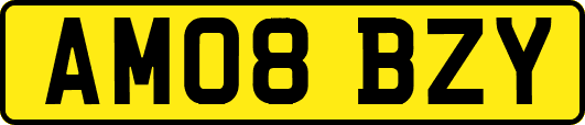 AM08BZY