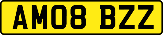 AM08BZZ