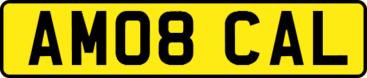 AM08CAL