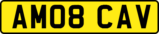 AM08CAV