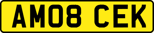 AM08CEK
