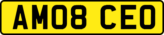 AM08CEO