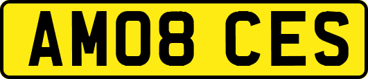 AM08CES
