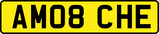 AM08CHE