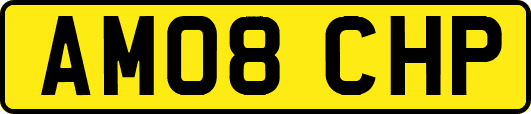 AM08CHP
