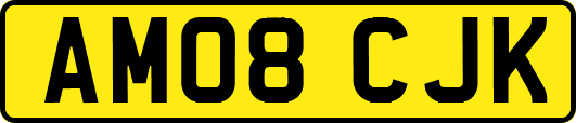 AM08CJK