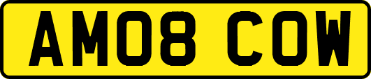 AM08COW