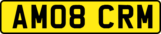 AM08CRM