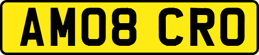 AM08CRO