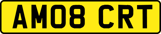 AM08CRT