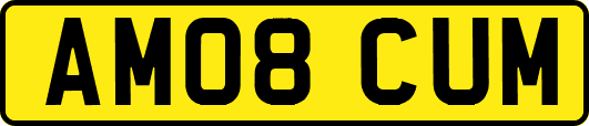 AM08CUM