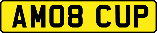 AM08CUP
