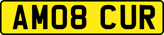 AM08CUR