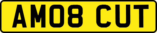 AM08CUT