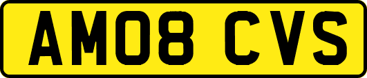 AM08CVS