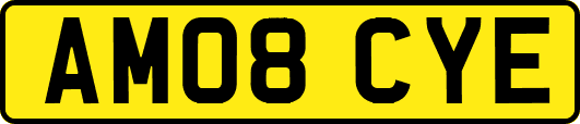 AM08CYE