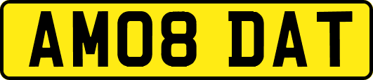 AM08DAT