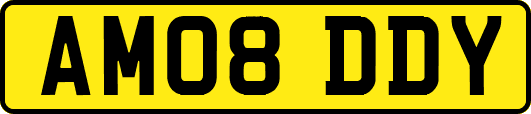 AM08DDY