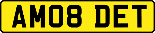AM08DET