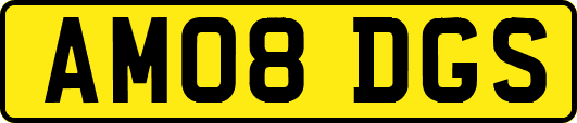 AM08DGS