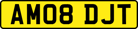 AM08DJT