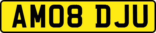 AM08DJU