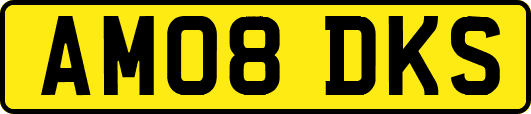 AM08DKS
