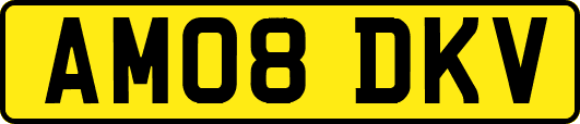 AM08DKV