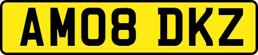 AM08DKZ
