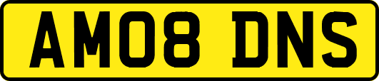 AM08DNS