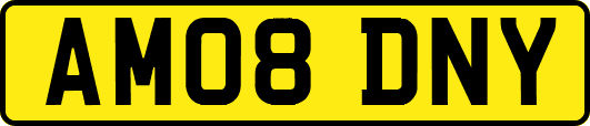 AM08DNY