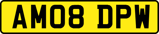 AM08DPW