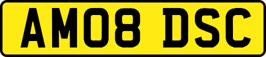 AM08DSC