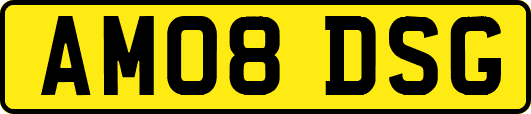 AM08DSG