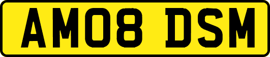 AM08DSM