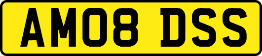 AM08DSS